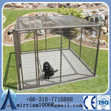 Serrure à cage en acier à grande caisse en provenance de China Supplier / big dog cage